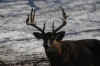 DSC_0001 copy.jpg (61763 bytes)