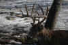 DSC_0005 copy.jpg (63936 bytes)